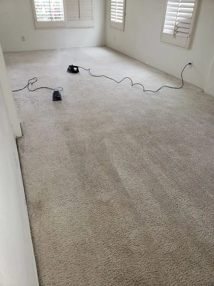 After: Heavily soiled carpet, Riverside home cleaned by Optimum Cleaning
