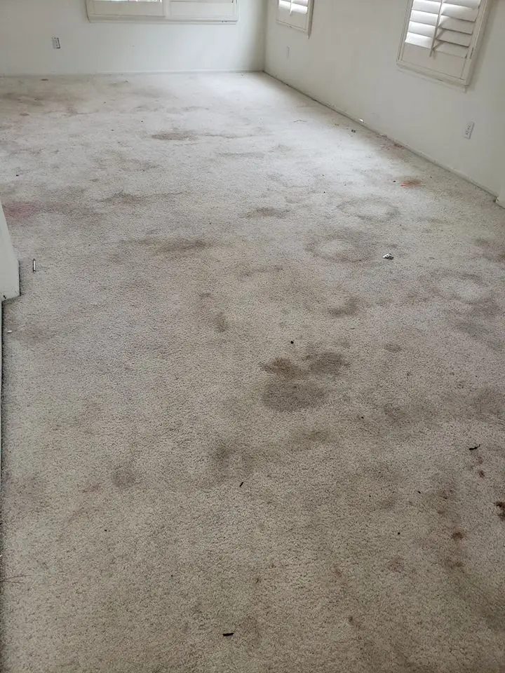 Before: Heavily soiled carpet, Riverside home