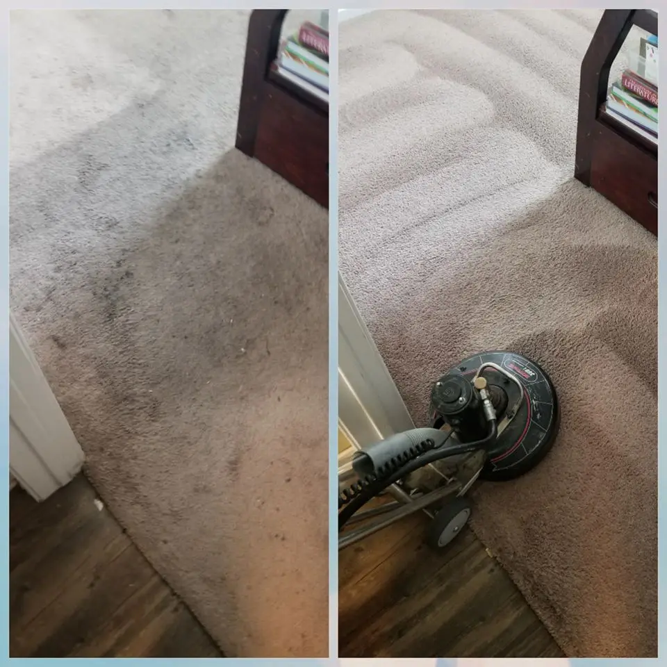 Residential carpet being cleaned by Optimum Cleaning